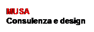 Casella di testo: MUSA 
Consulenza e design
